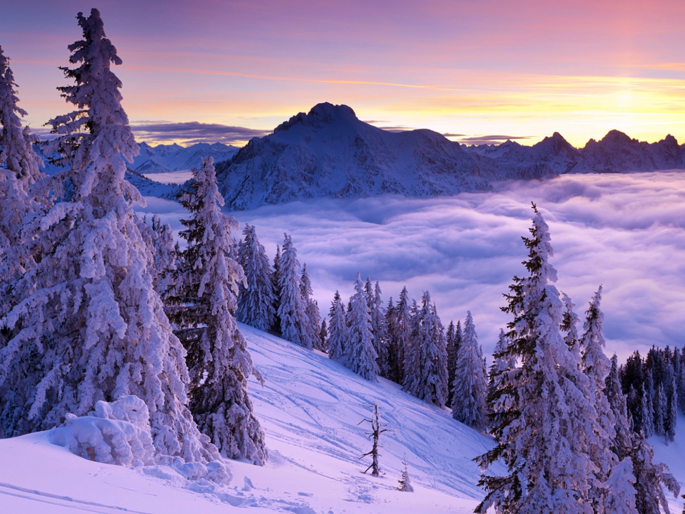 Фиолетовый зимний закат 