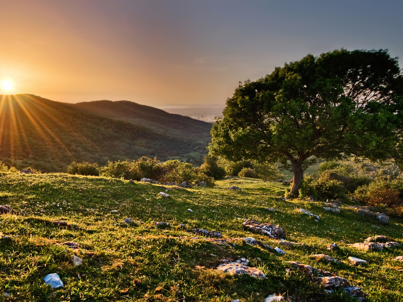 Закат в заповеднике