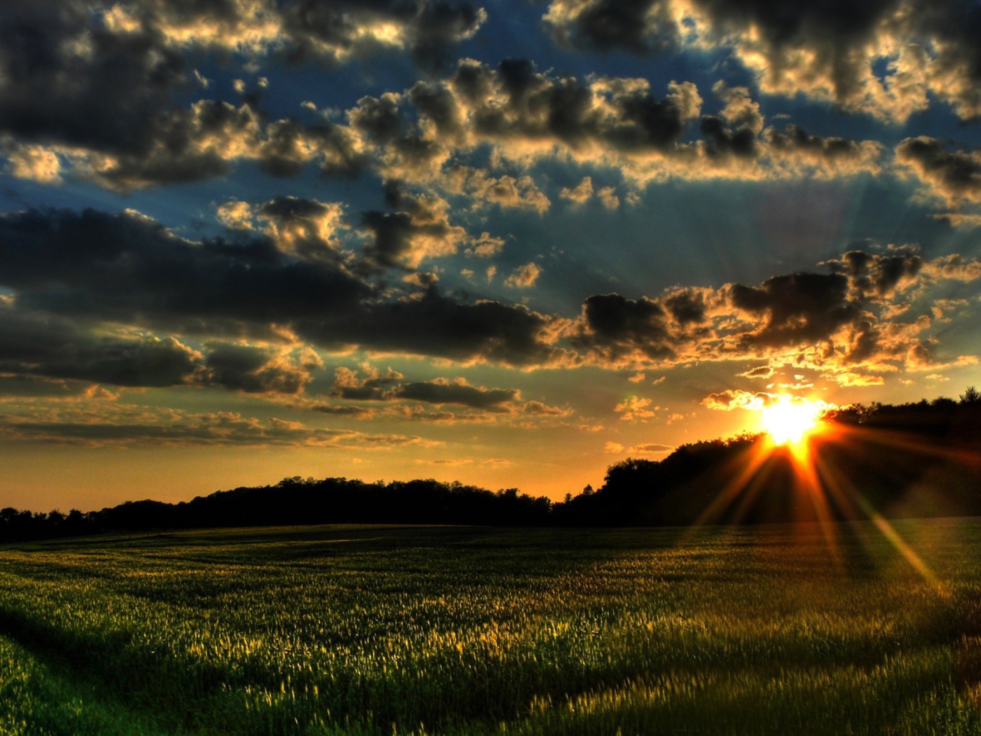 Закат на зеленом поле