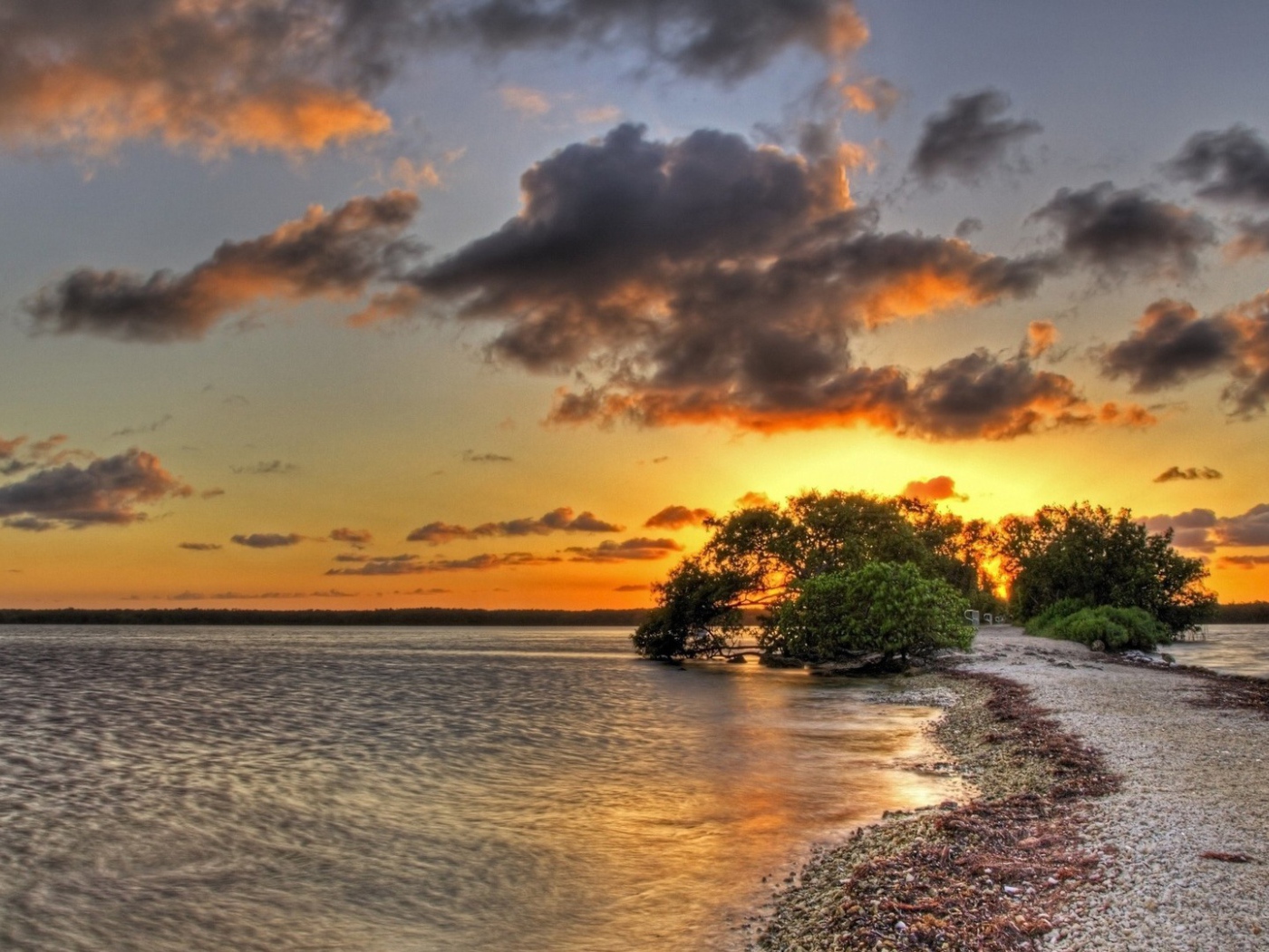 Закат над озером за деревом