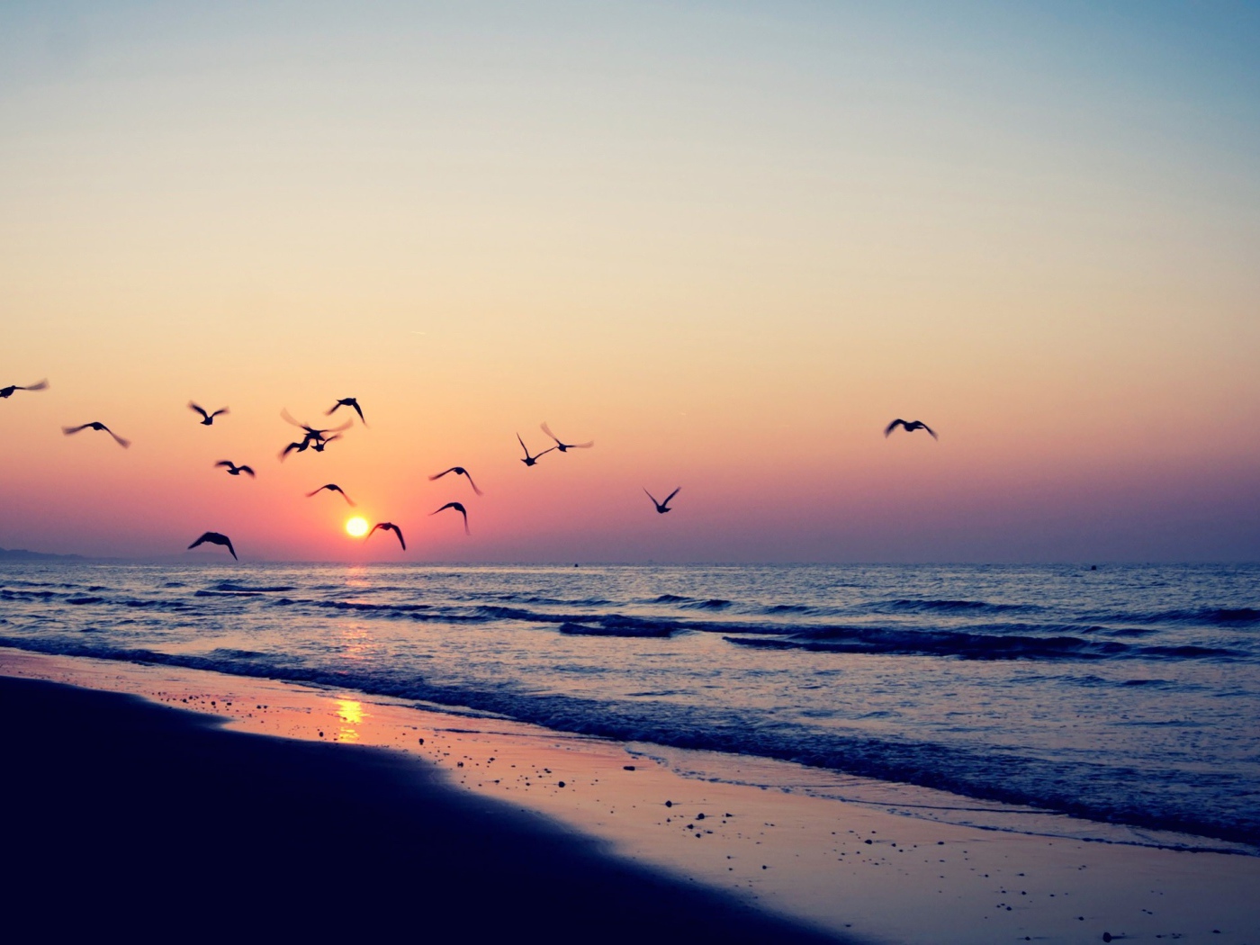 Птицы летят на закат