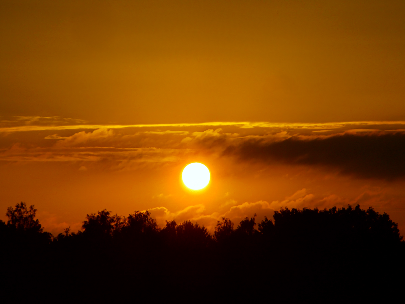 небо солнце облака. небо солнце. солнце в облаках. See the sun. Sun above.