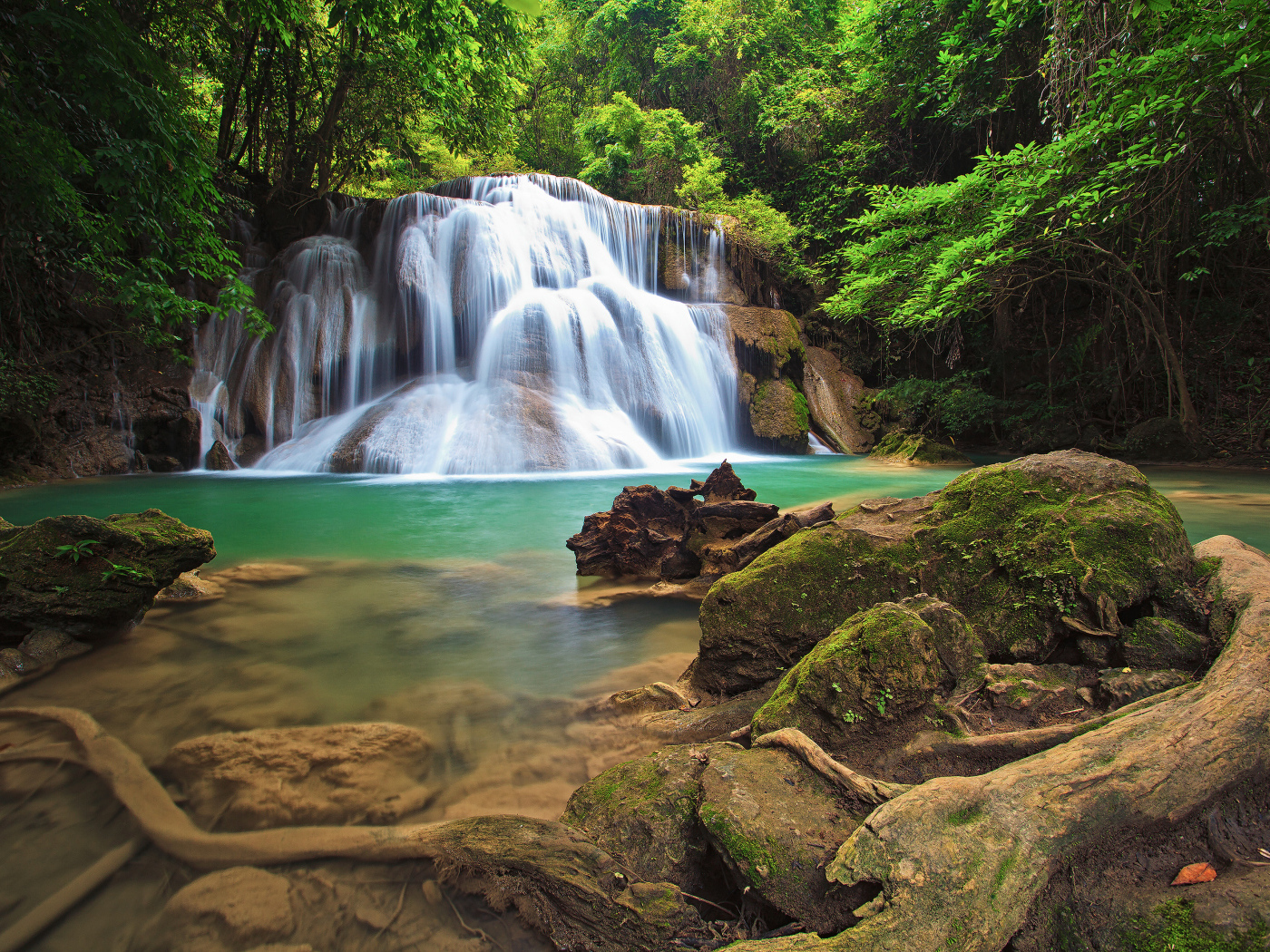 Водопад в густом лесу