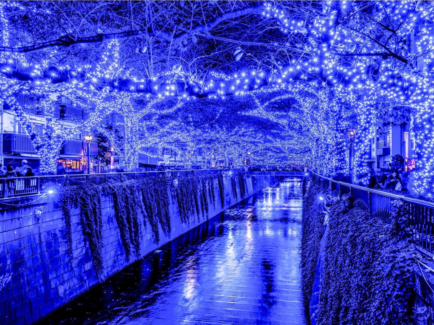 Новогодняя иллюминация в Токио