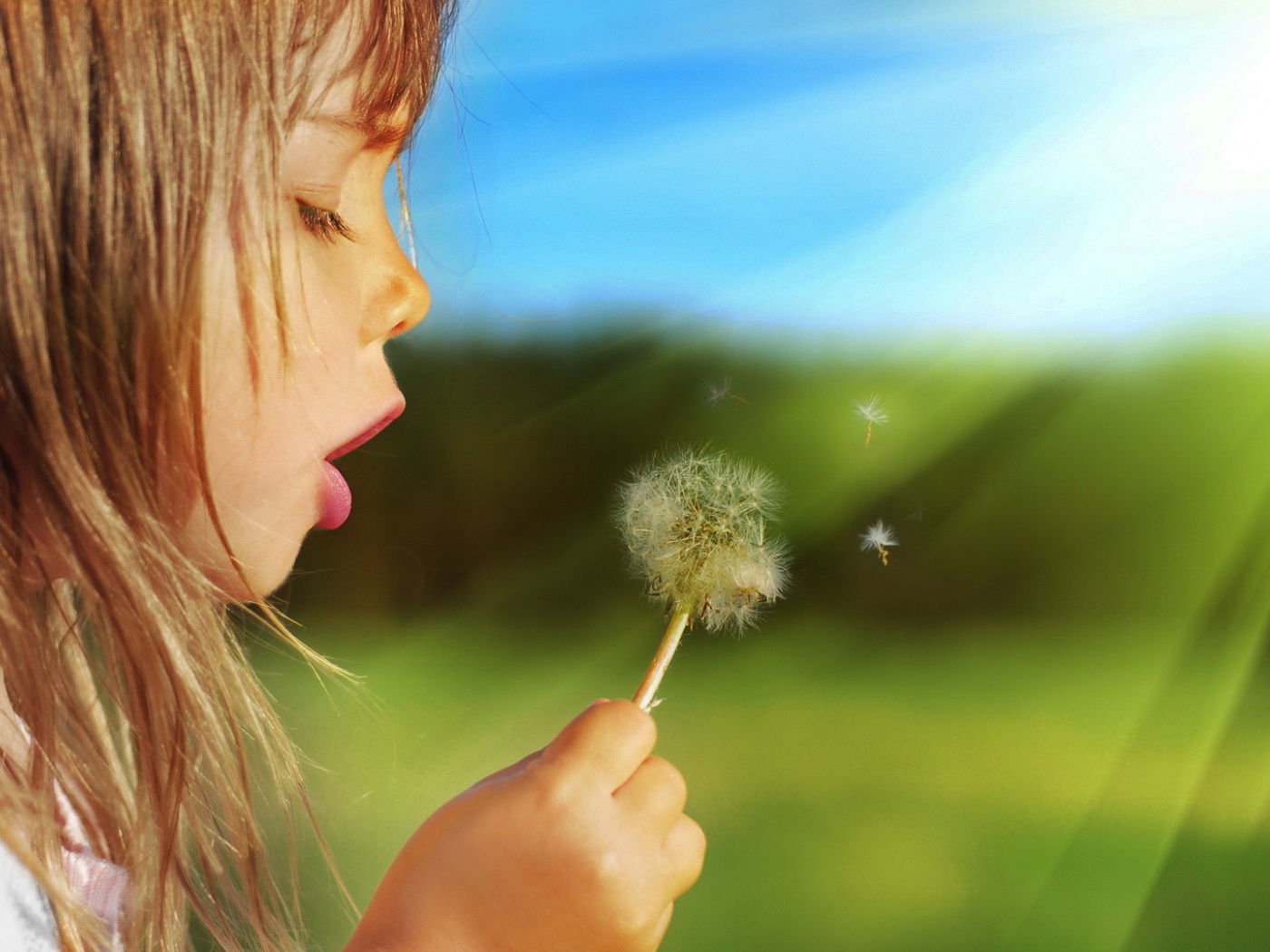 Девочка дует на одуванчик