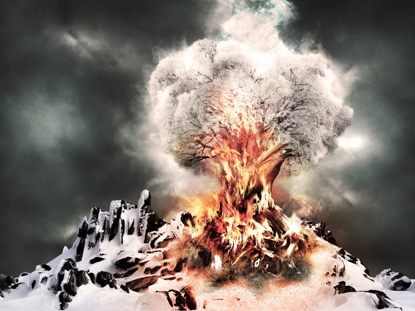 Горящее дерево