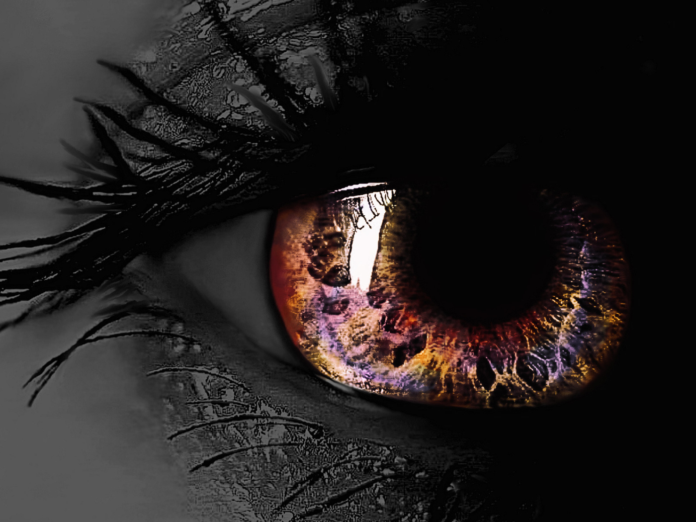 Разноцветный глаз