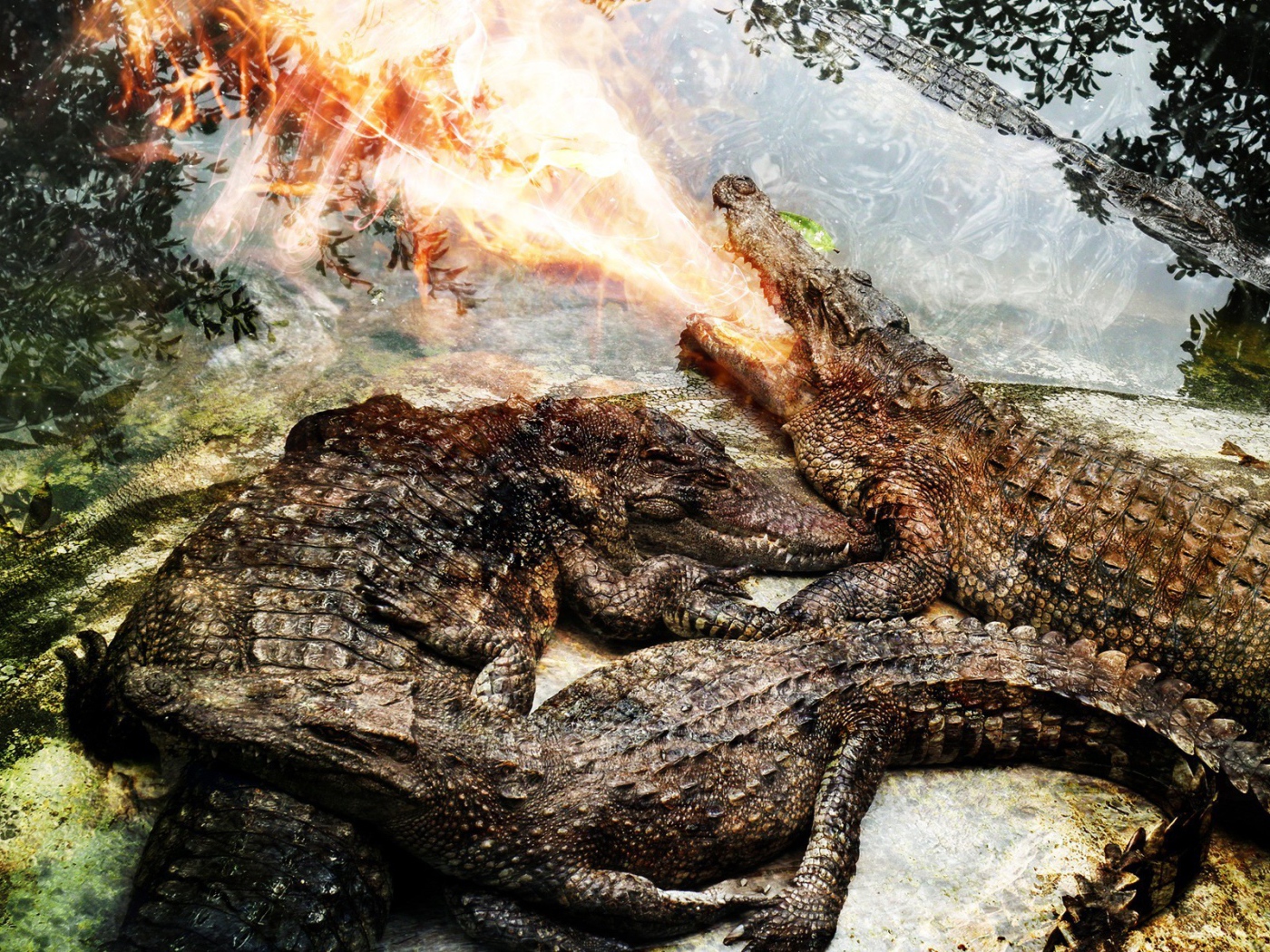 Крокодил изрыгает огонь