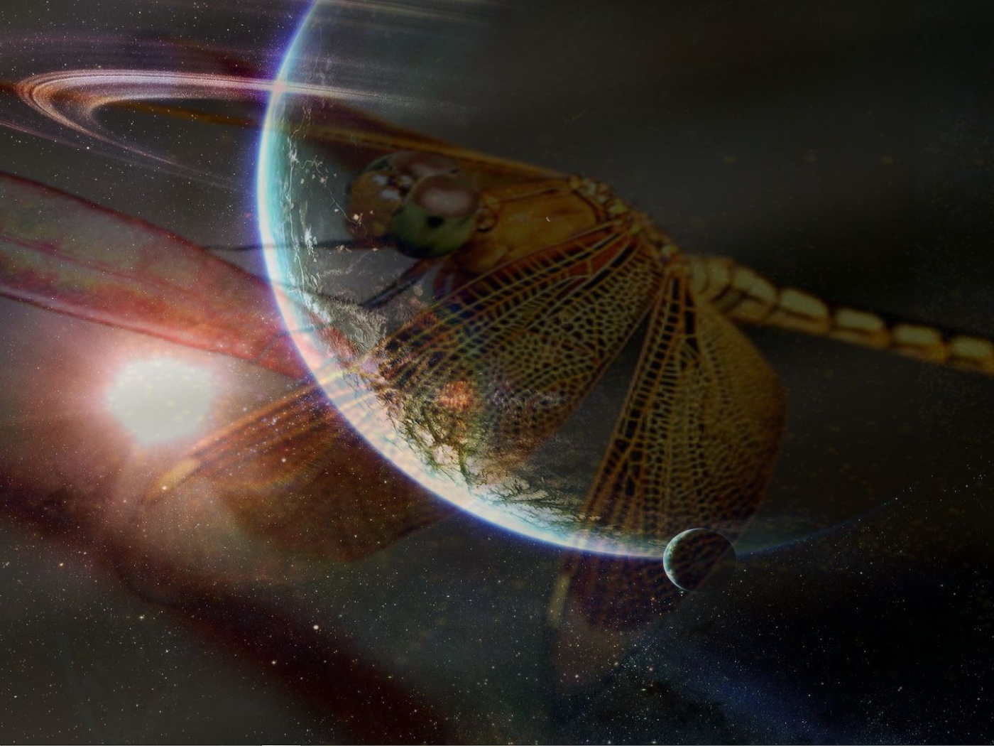 Стрекоза и космос