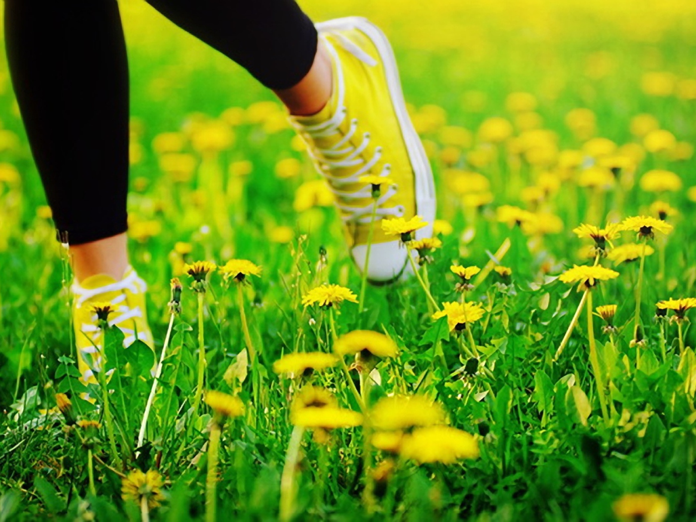 Пробежка в кедах по лугу