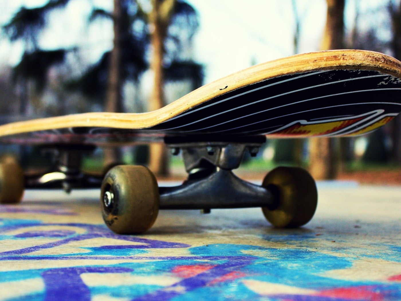 Скейтборд готов к подвигам