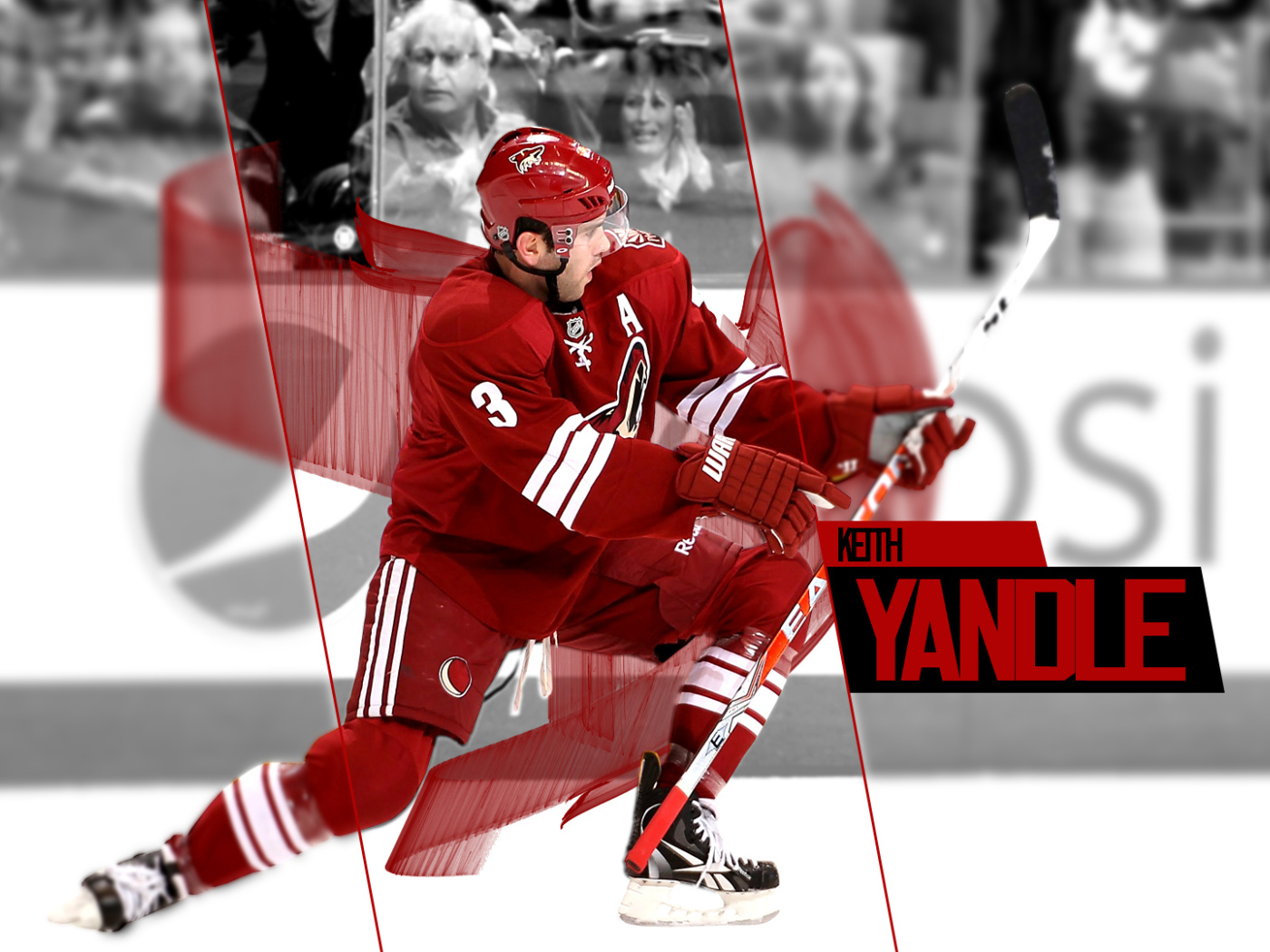 Популярный Хоккеист Кейт Яндл