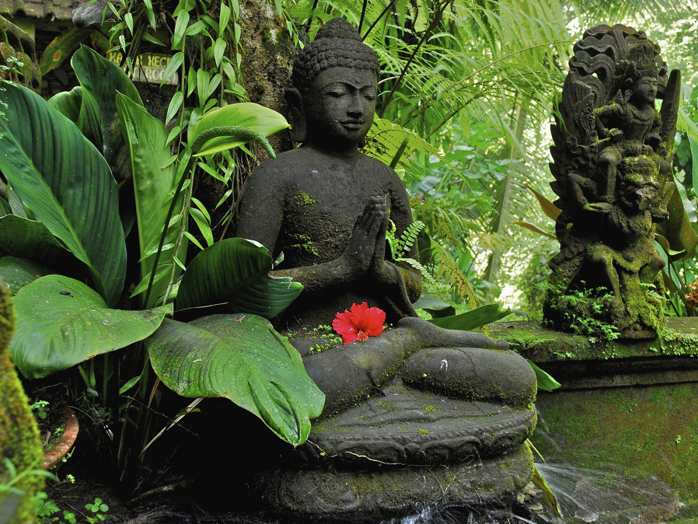Будда в джунглях на Бали