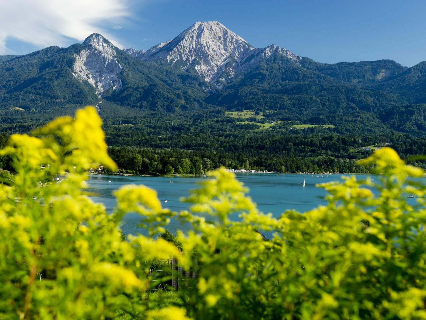 Зелень на фоне гор на курорте Фаакер-Зее, Австрия