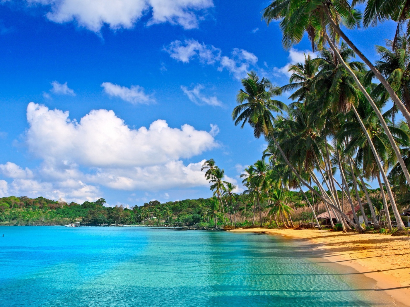 Удивительная картина Барбадоса пляжа