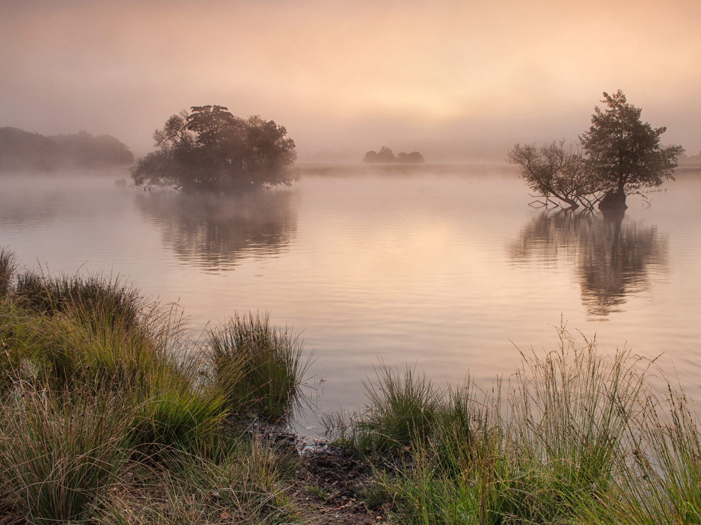 Ричмонд-парк, Суррей, Великобритания