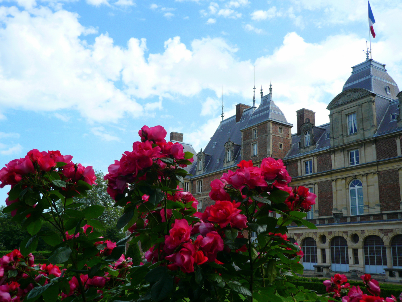 Цветы в Нормандии, Франция