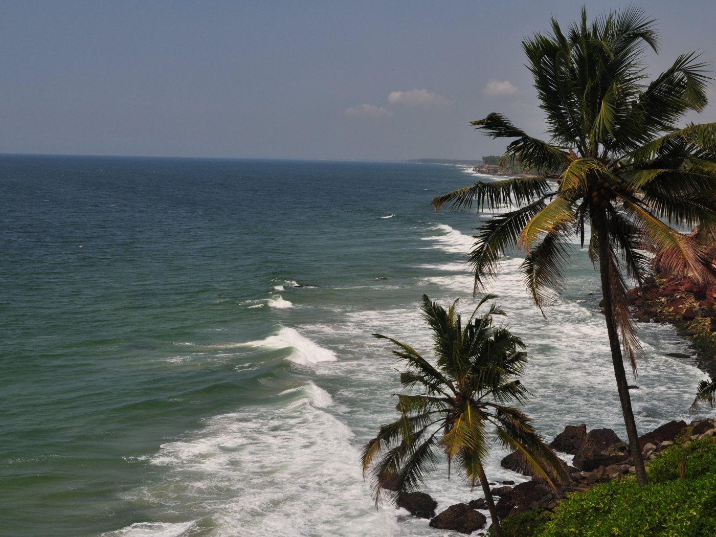 Пальмы на побережье Варкалы
