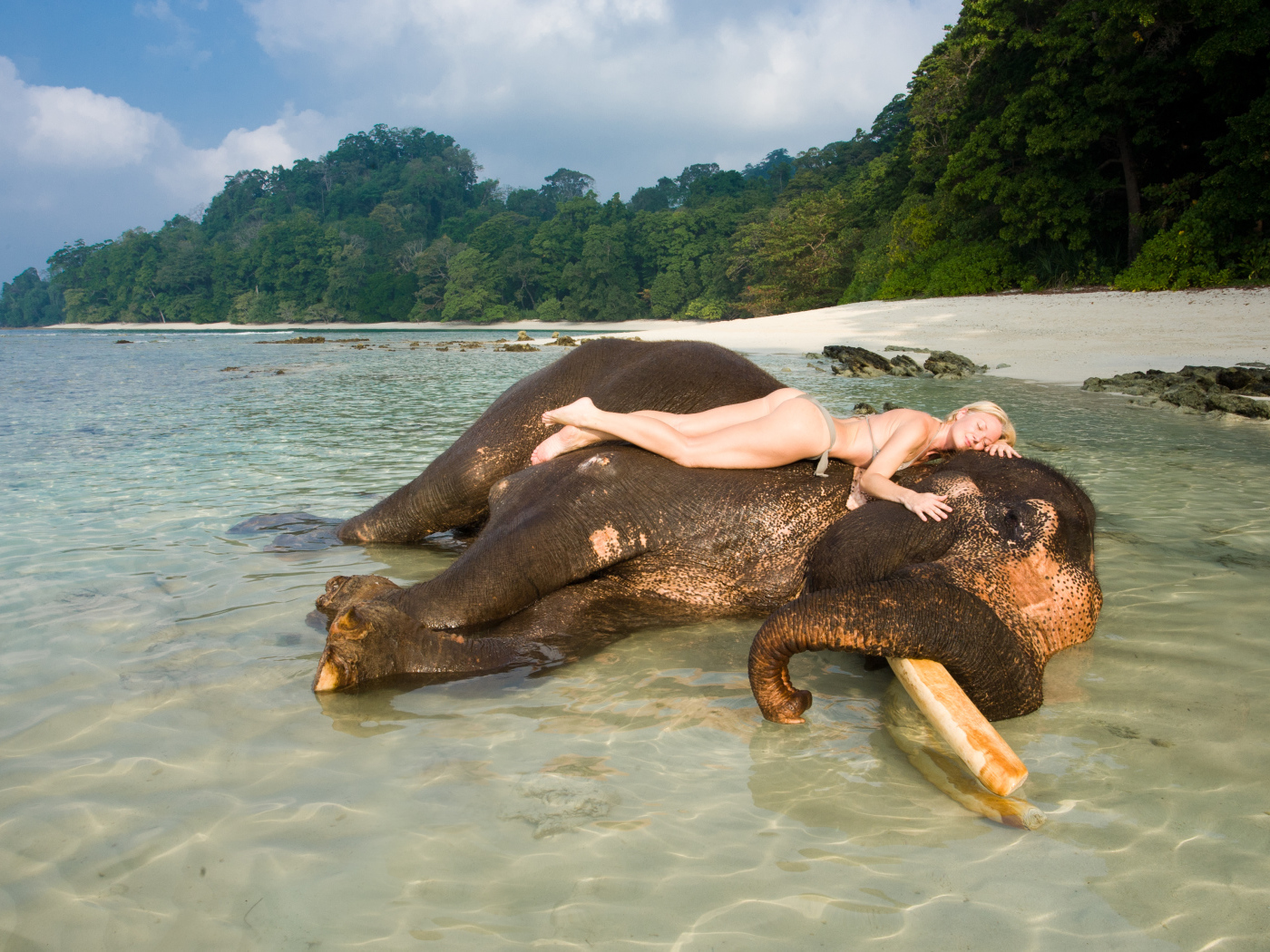Девушка на слоне на Андаманских островах