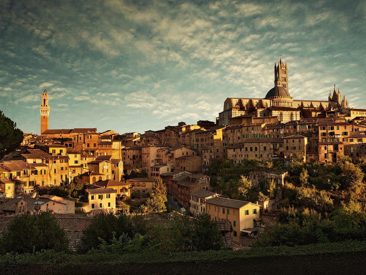 Панорама города в Сиене, Италия