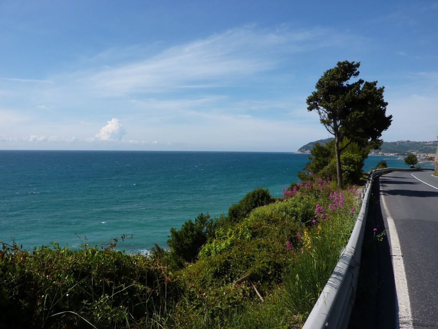 Деревья на набережной в Санто Стефано аль Маре, Италия