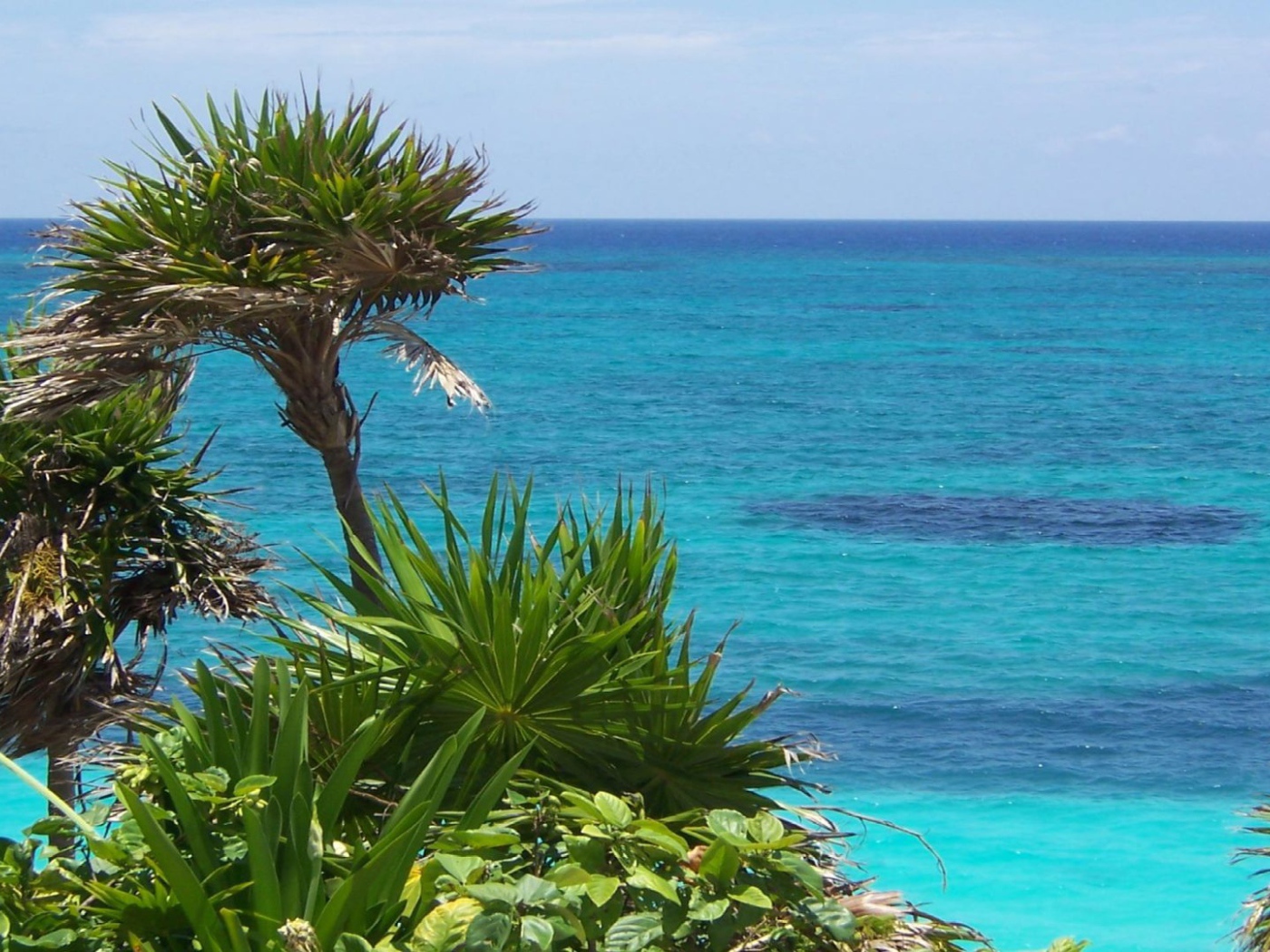 Солнечное Мексика