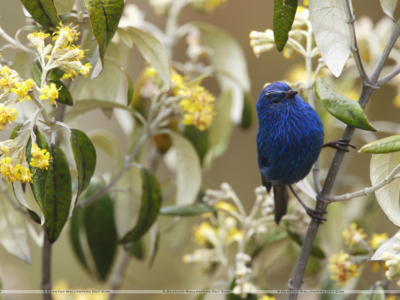 Захватывающие дух Перу