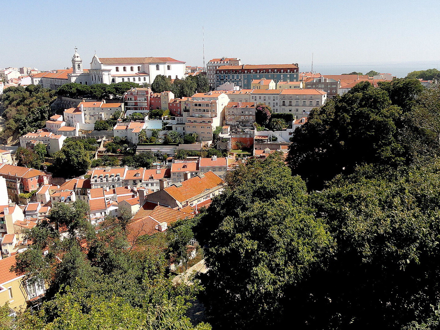 Деревья на фоне Лиссабона