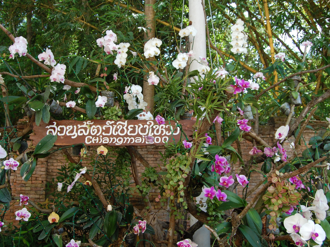 Ботанический сад на курорте Чианг Май, Таиланд