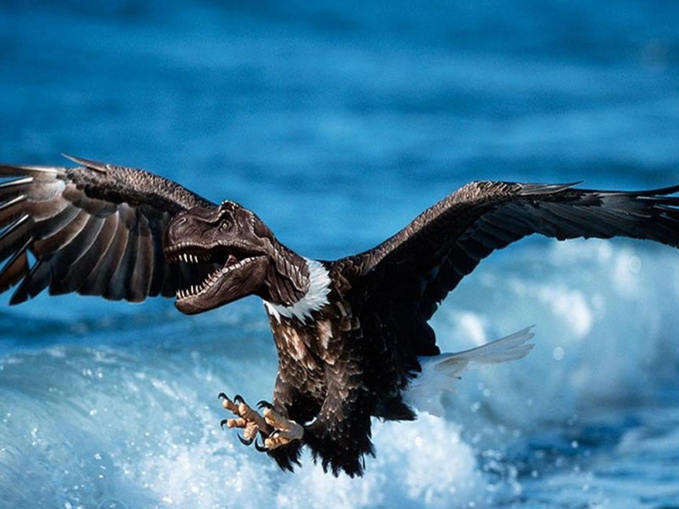 Дино орел в небе