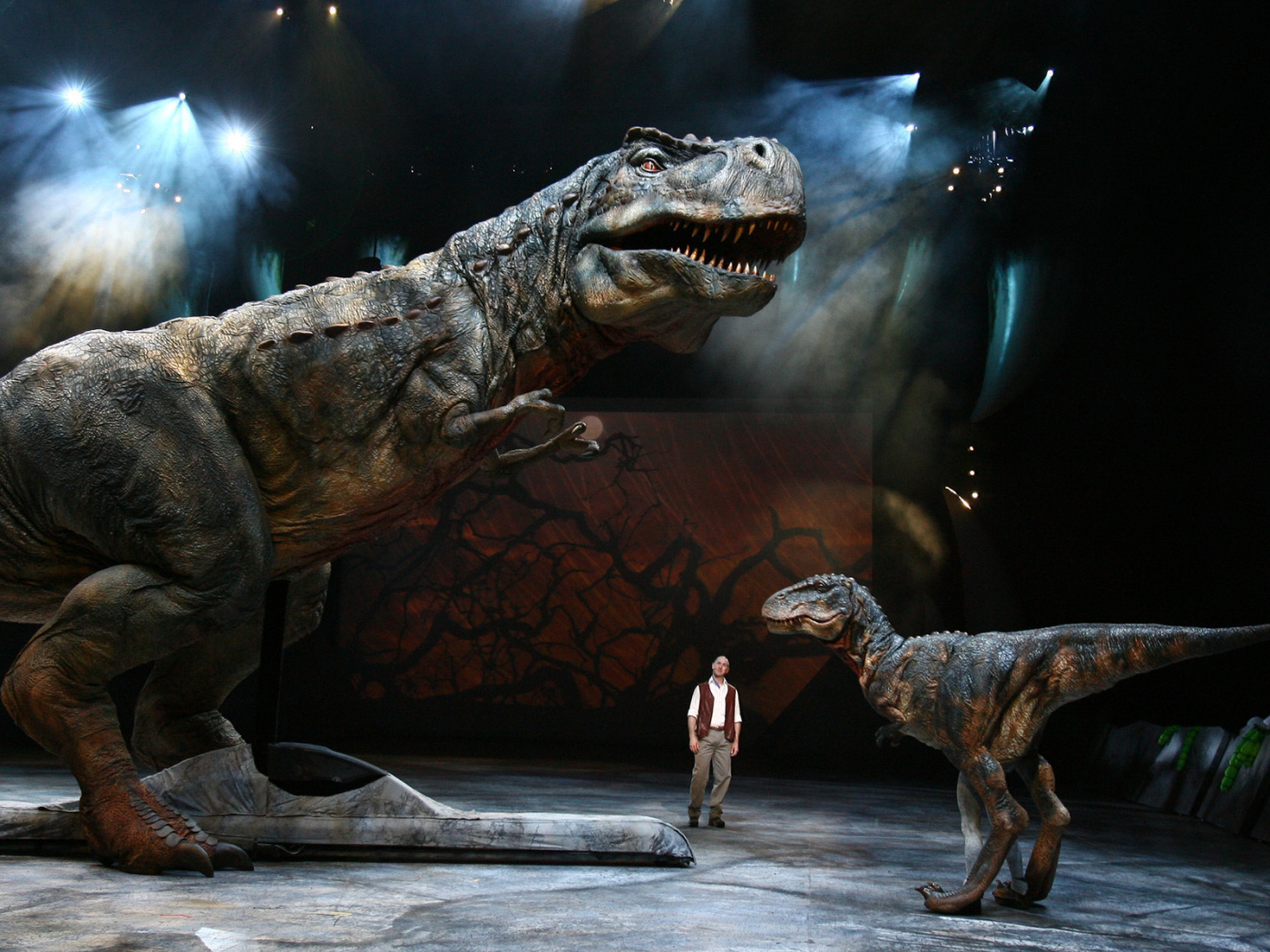 Динозавры в музее