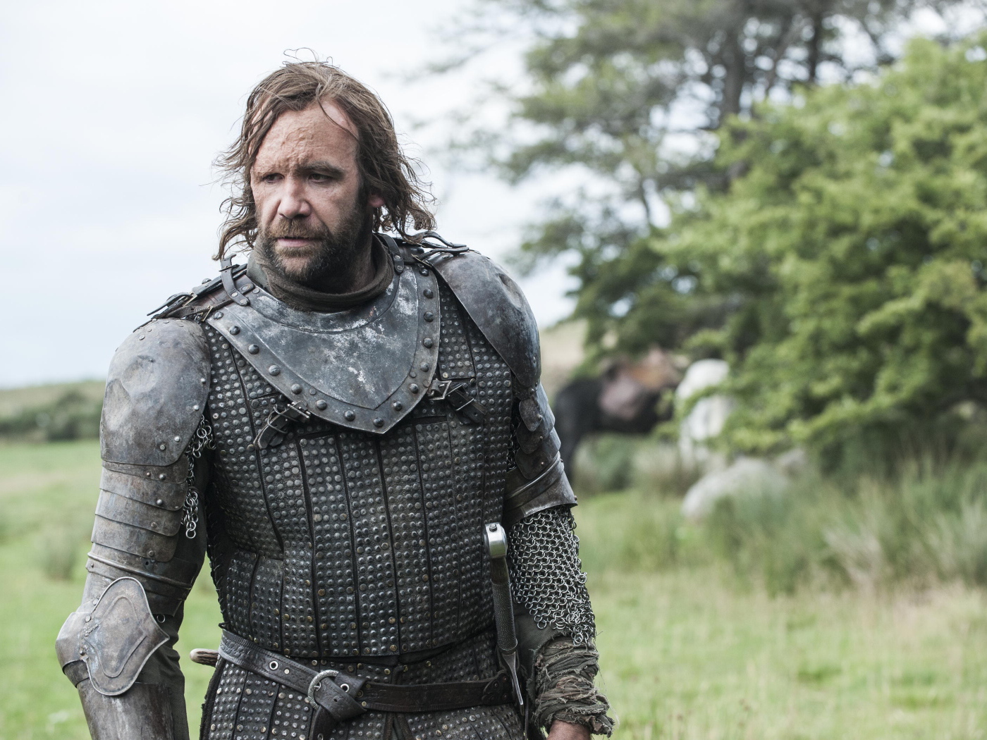 Пес из сериала Игры Престолов