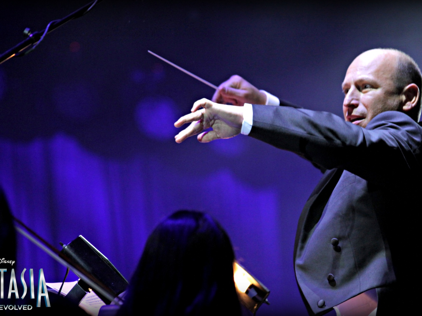 Композитор музыки в игре Fantasia music