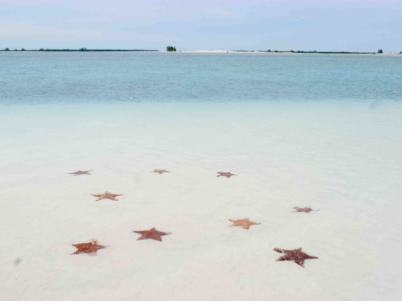 Морские звезды на пляже на курорте Кайо Ларго, Куба