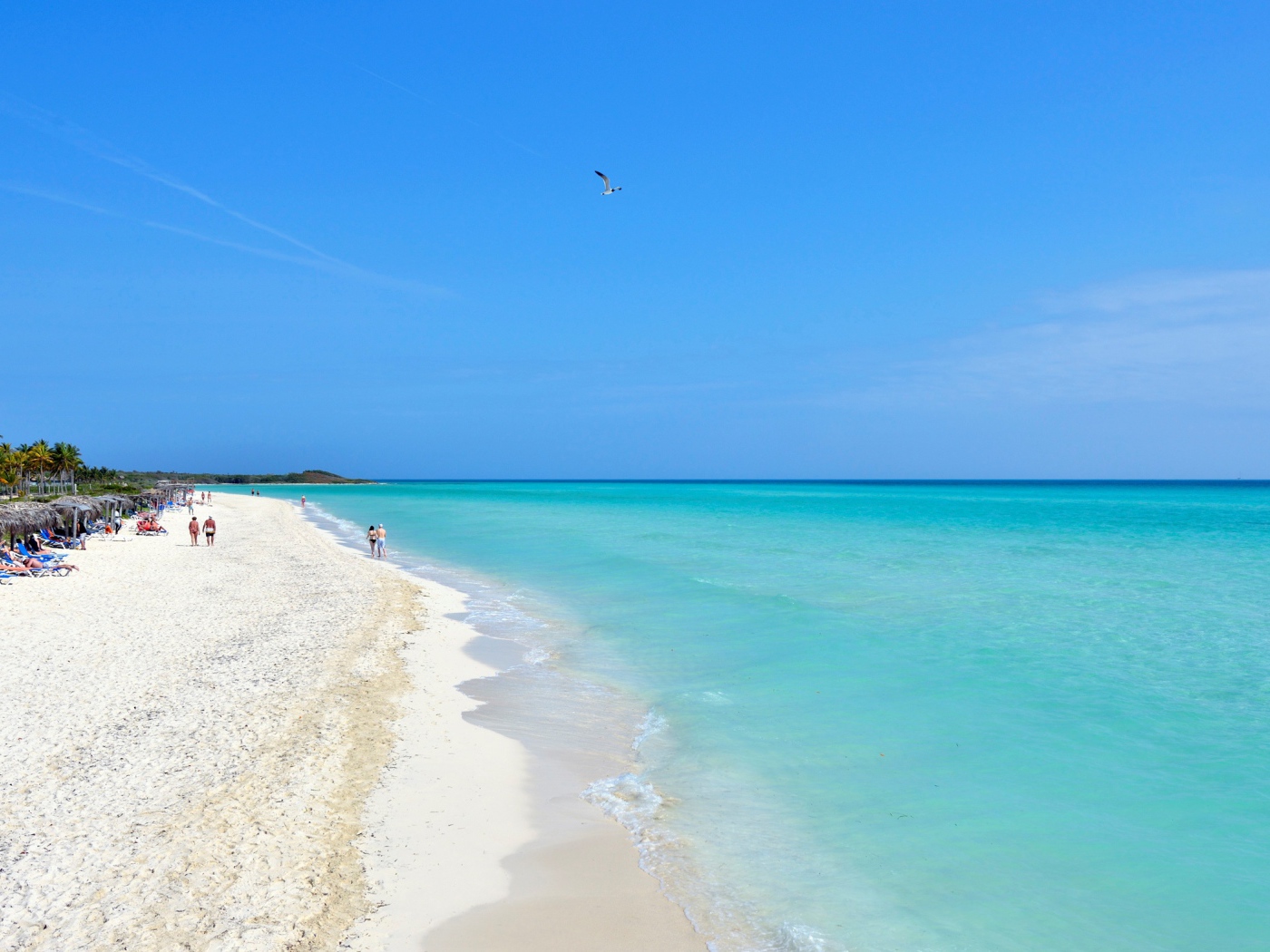 Зимний отдых на пляже на курорте Кайо Гильермо, Куба