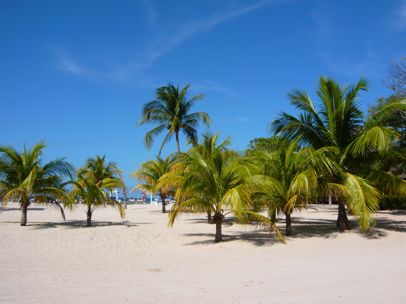 Замечательное место в Гаити