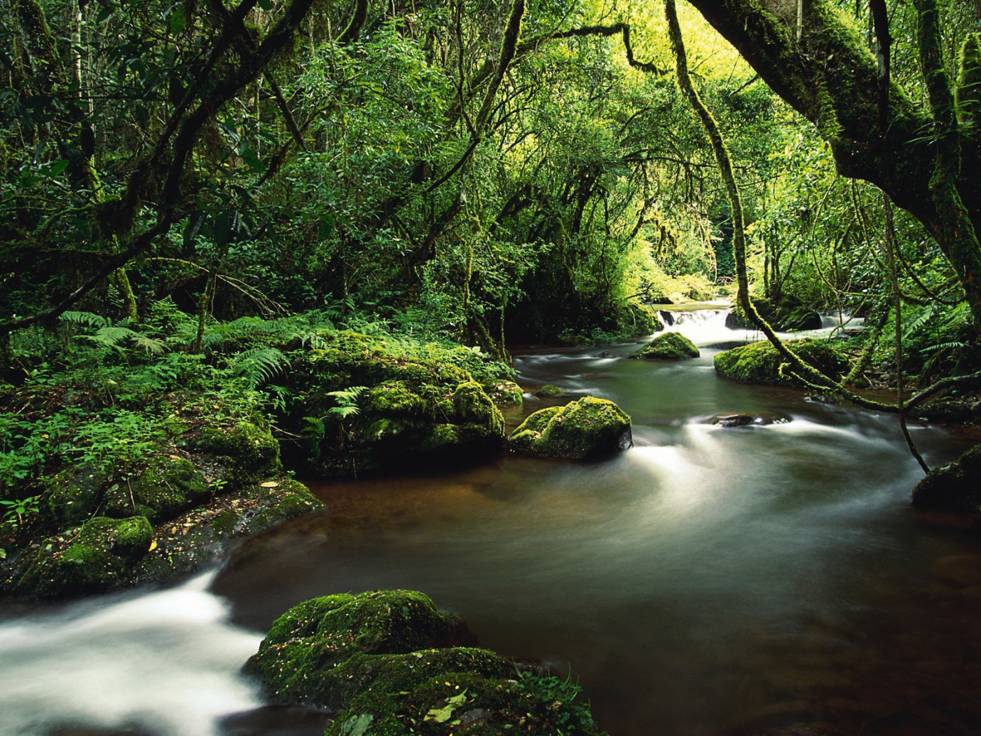 Туристическое Коста-Рика