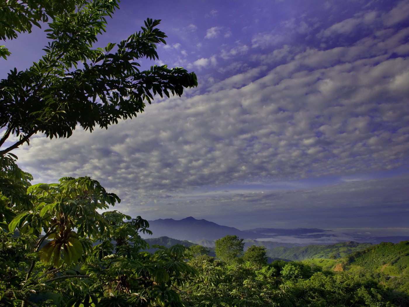 Великолепная страна Коста-Рика