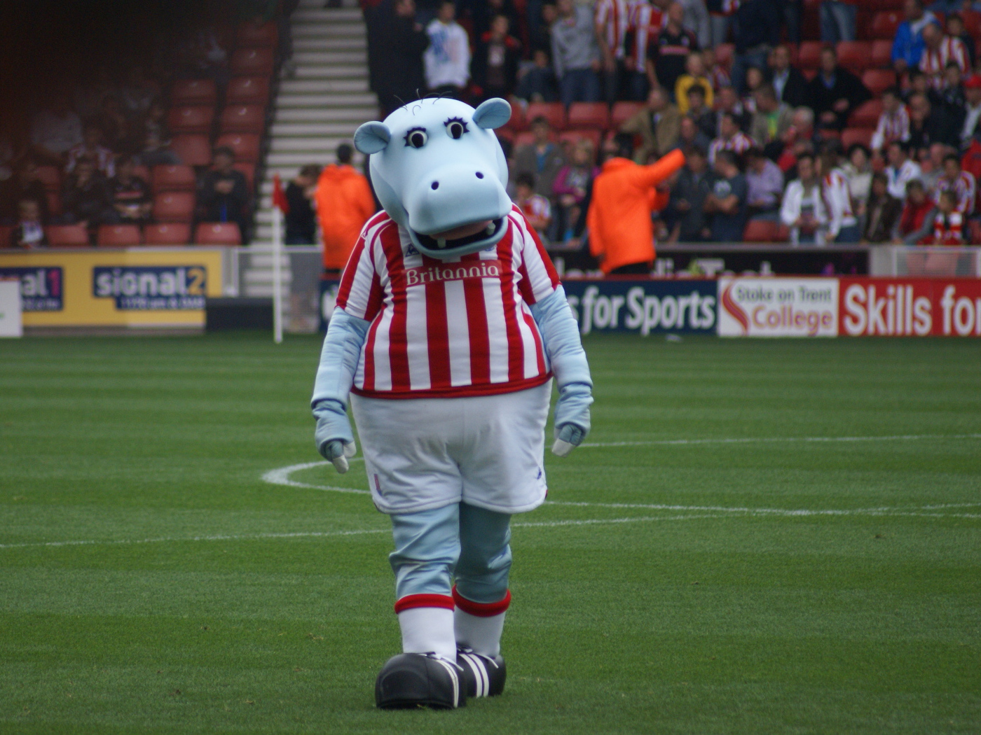 Известный ФК Сток Сити