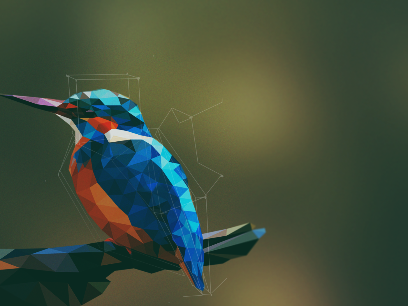 Птица щурок, 3Д графика