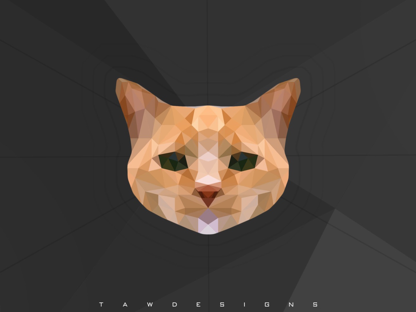 Морда кота, 3-Д графика