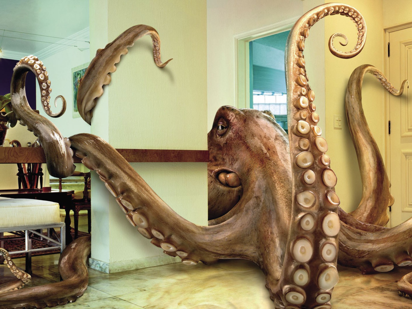 Осьминог в комнате, 3Д графика