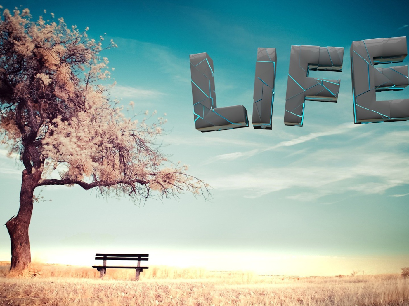 Буквы в небе у дерева, 3-Д графика