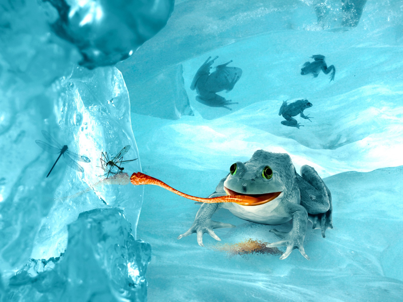 Лягушка среди льдов
