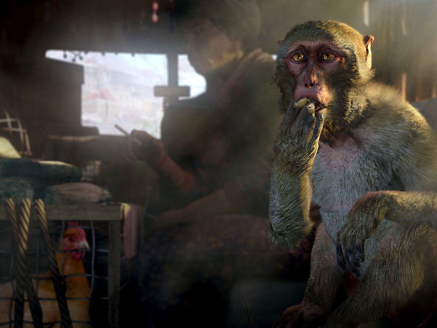 Обезьяна и курица в грузовике