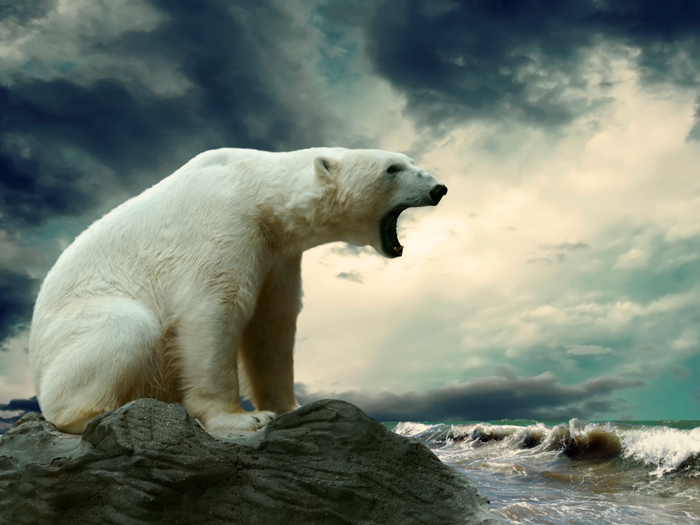 Белый медведь широко открыл пасть