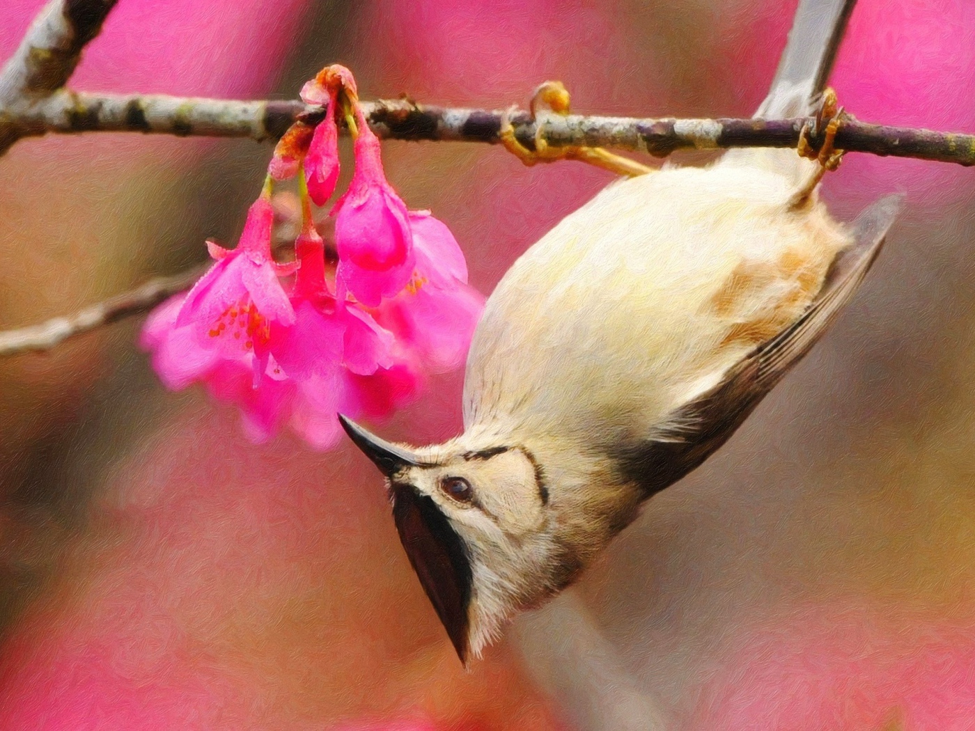 Птица висит на ветке вниз головой