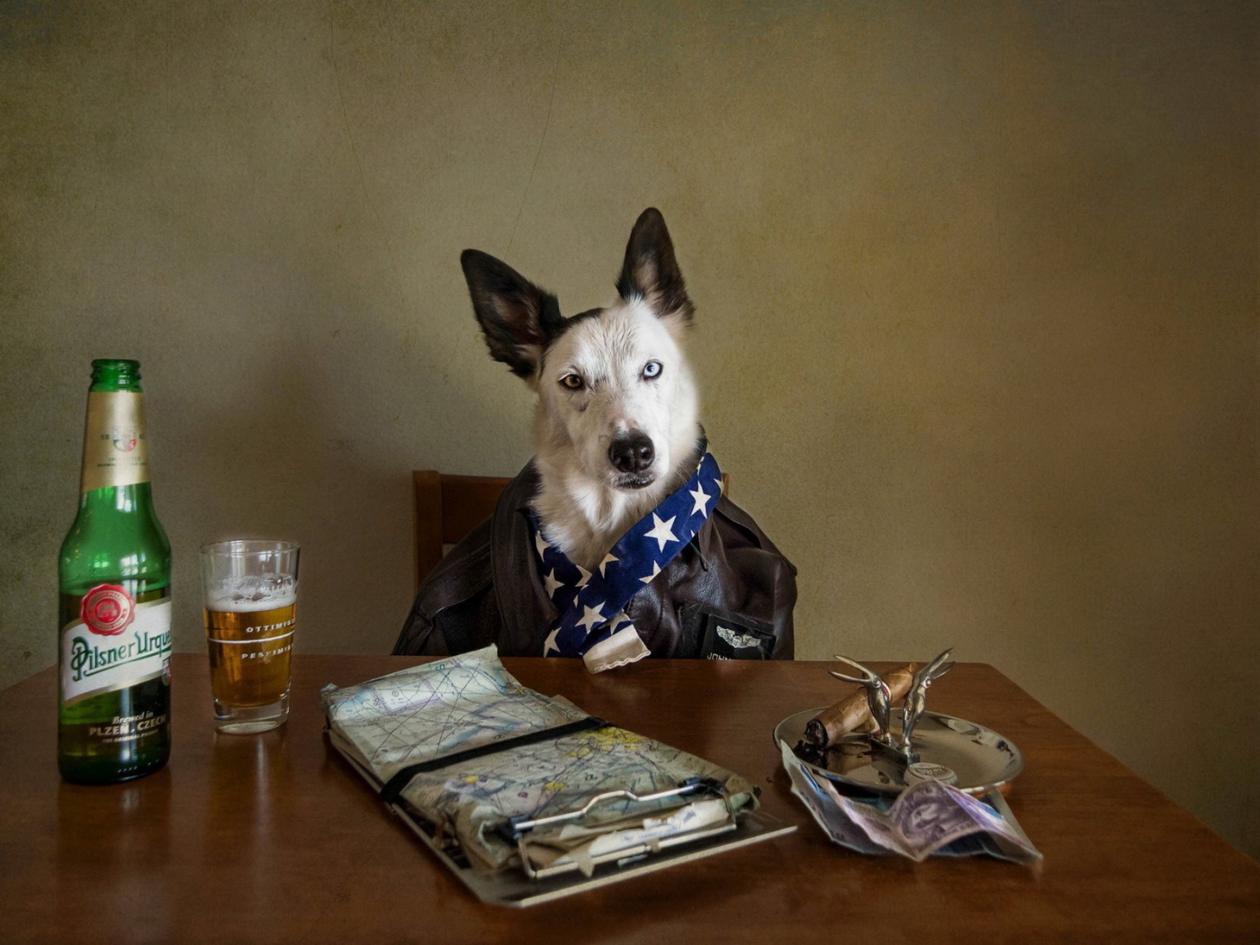 Собака за столом с пивом