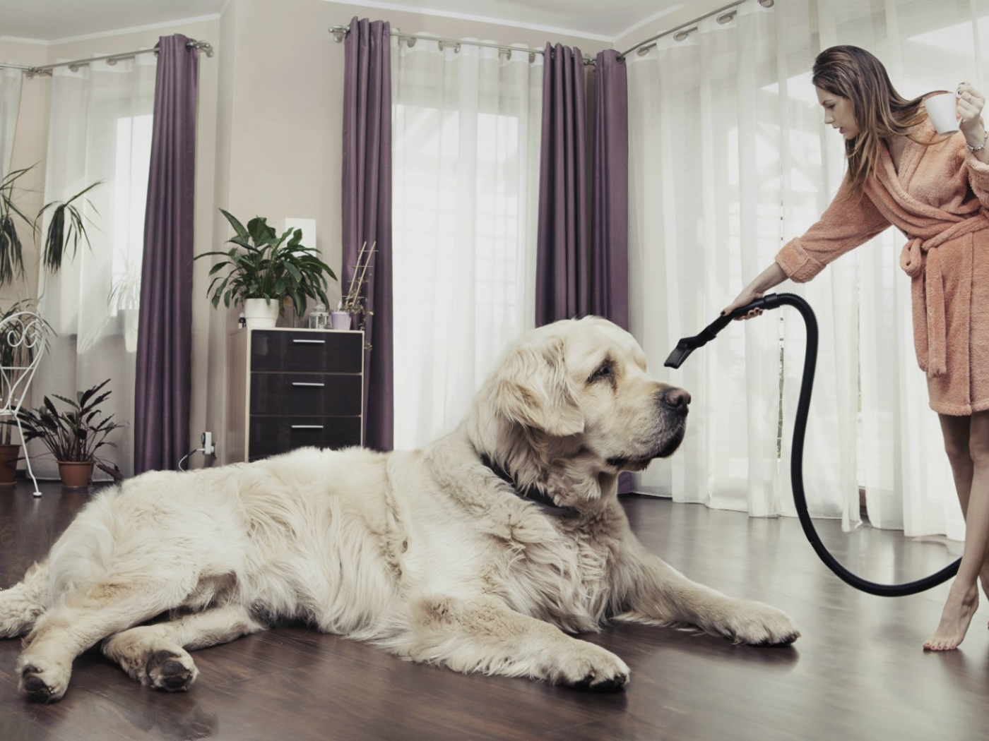 Хозяйка пылесосит собаку