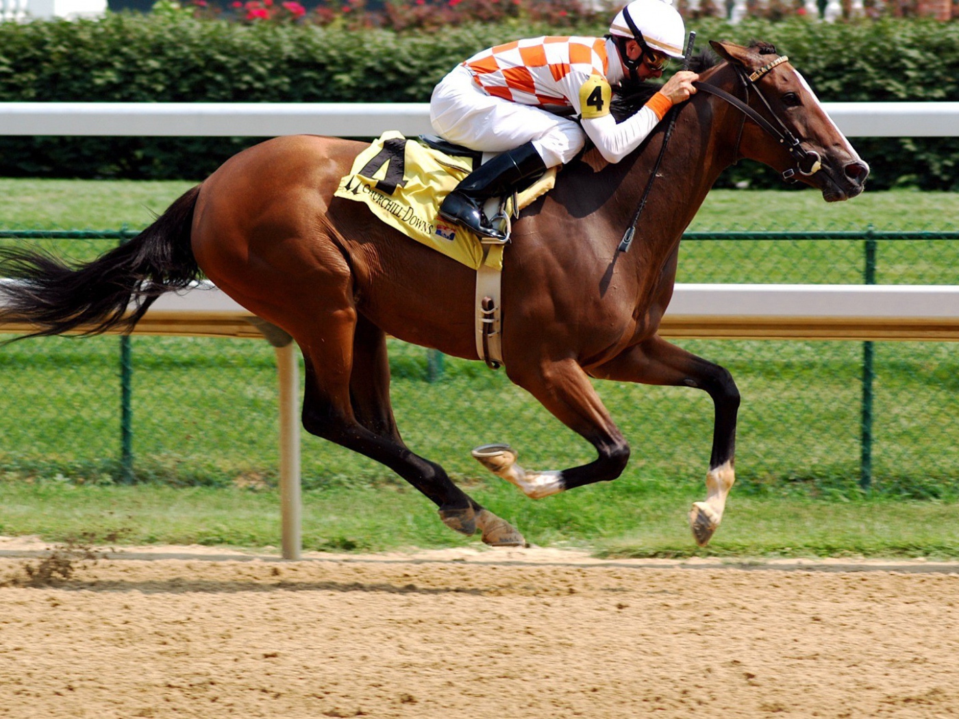 Всадник на ипподроме